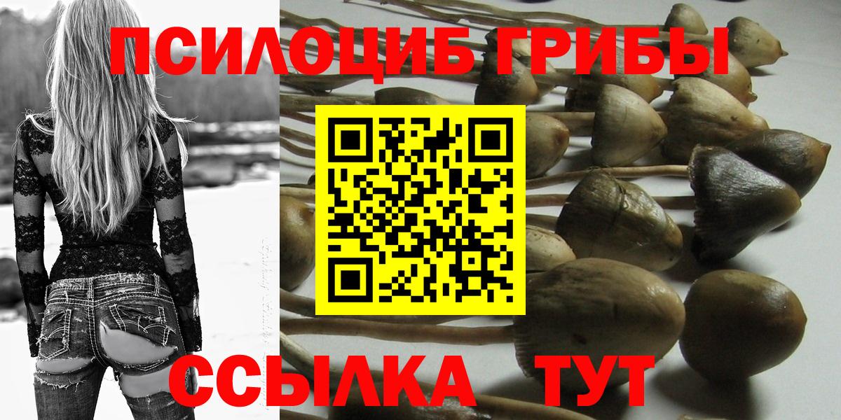 Люберцы  наркошоп  Вход с VPN  Псилоцибиновые грибы Magic Shrooms 